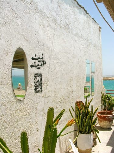 فین دلفین