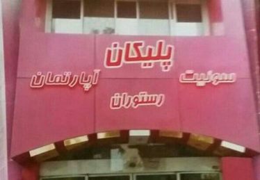 پلیکان