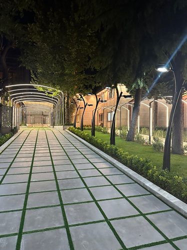 پارک وی