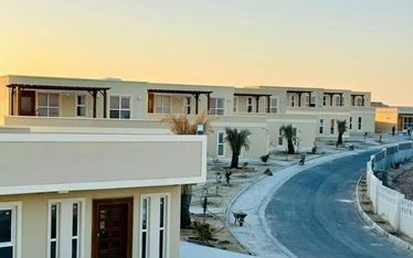 باراکودا