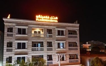 فلامینگو