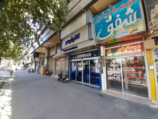 شفق