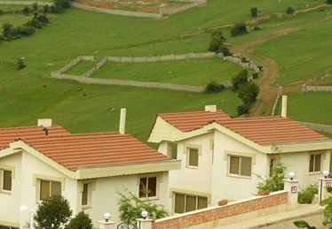 باران سبز