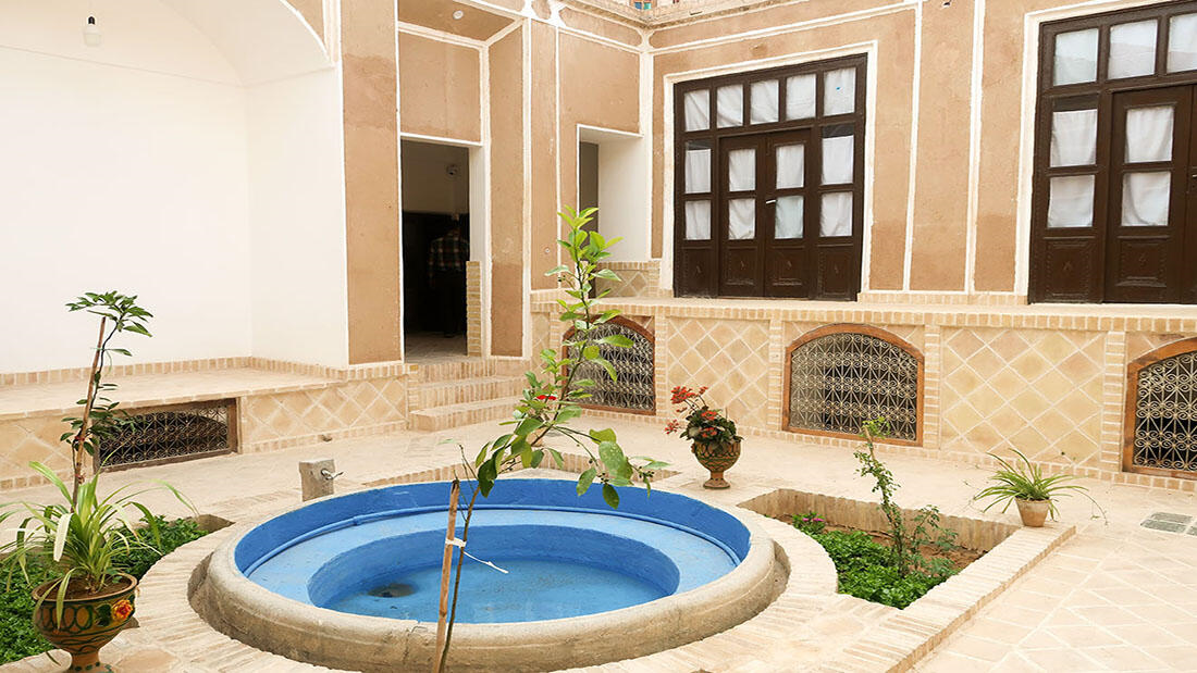 شاخه نبات